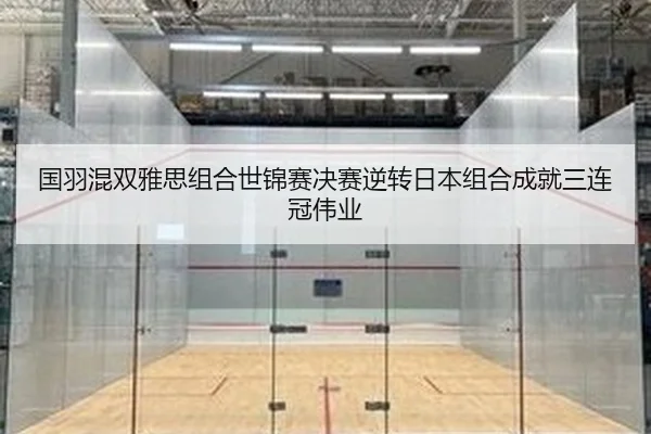 guo-yu-hun-shuang-ya-si-zu-he-shi-jin-sai-jue-sai-ni-zhuan-ri-ben-zu-he-cheng-jiu-san-lian-guan-wei-ye-2-779.jpg